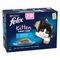 Felix Kitten As Good As It Looks Saver Pack: Fish Selection in Jelly (24 x 85g)