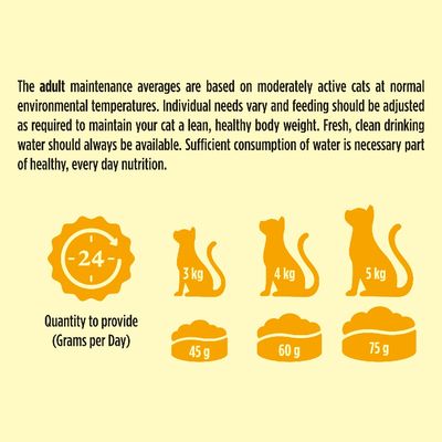 Go-Cat Adult with Herring & Vegetables