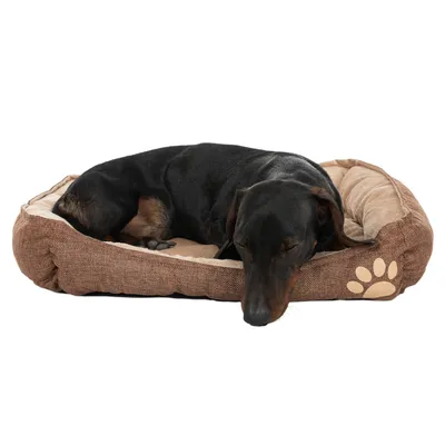 Chien noir allongé dans un panier pour chien marron avec motif patte visible sur le côté. Panier rembourré, tissu aspect toile.