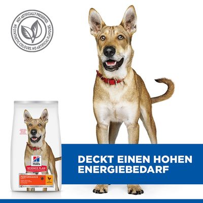 Hill's Science Plan Performance Adult 1+ mit Huhn - 14 kg