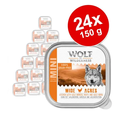 Lot de 24 barquettes Wolf of Wilderness MINI Wide Acres, 150 g chacune, 100% grain-free. Texte visible : chicken with wild berries, roots and wild herbs. Marque et saveur visibles.