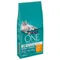 Purina ONE Adult Kip & Volkoren Granen Kattenvoer 9,75 kg