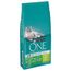 PURINA ONE Indoor Formula Crocchette per gatti Set %: 2 x 9,75 kg