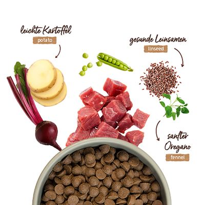 Abbildung zeigt Zutaten: leichte Kartoffel, gesunde Leinsamen, sanfter Oregano sowie Fleischwürfel und Trockenfutter in einer Schale. Text: potato, linseed, fennel.