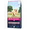 Lots économiques Eukanuba Senior Large & Giant Breed agneau, riz (2 x 12 kg)