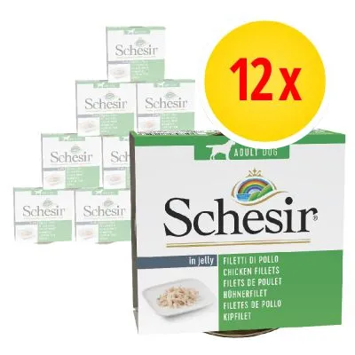 Schesir Adult Dog in jelly, 12-pack kycklingfiléer. Text på förpackning: Filetti di pollo, Chicken fillets, Filets de poulet, Hühnerfilet, Filetes de pollo, Kipfilet.