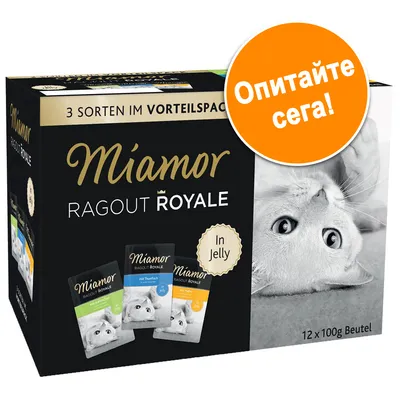 Miamor Ragout Royale In Jelly, 3 сорта, 12 x 100 г паучове за котки. Текст: Опитайте сега! Miamor Ragout Royale In Jelly, 3 сорта, 12 x 100 г паучове за котки. Текст: Опитайте сега!