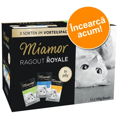 Pachet Miamor Ragout Royale In Jelly, 3 sortimente, 12 x 100g. Text vizibil: „Încearcă acum!”, „3 Sorten im Vorteilspack”, imagine cu pisică și plicuri individuale.