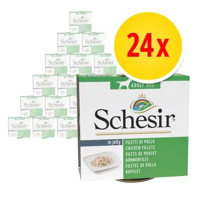 Schesir Adult Dog in jelly, 24-pack. Synlig text: Filetti di pollo, Chicken fillets, Filets de poulet, Hühnerfilet, Filetes de pollo, Kipfilet.
