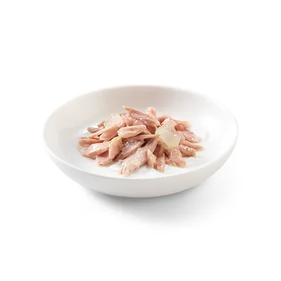 Comida húmida para animais em pedaços, servida num prato branco. Não são visíveis marcas ou texto na imagem.