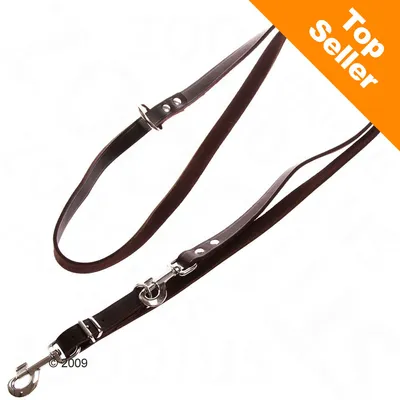 Laisse pour chien en cuir brun avec mousquetons métalliques, étiquette orange en haut à droite avec texte « Top Seller »