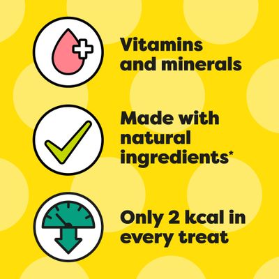 Dreamies Big Pack Cat Treats - Salmon