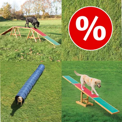 Hundar på agilityhinder: balansbom, tunnel och gungbräda utomhus. Röd cirkel med vit procenttecken indikerar rabatt eller specialerbjudande.
