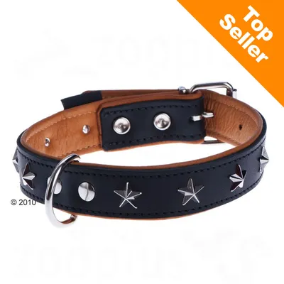 Collier pour chien en cuir noir et marron avec rivets et étoiles métalliques, boucle argentée. Bande orange en haut à droite avec texte anglais : Top Seller. Collier pour chien en cuir noir et marron avec rivets et étoiles métalliques, boucle argentée. Bande orange en haut à droite avec texte anglais : Top Seller.