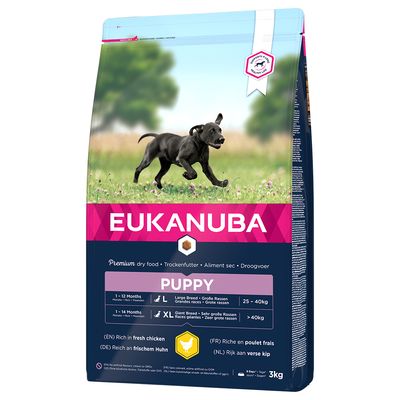 Eukanuba Puppy Large Breed Pollo 3 kg