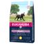 Eukanuba Puppy Large Breed Huhn 3 kg