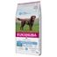 Eukanuba Adult Weight Control razas grandes 2 x 15 kg - Pack Ahorro