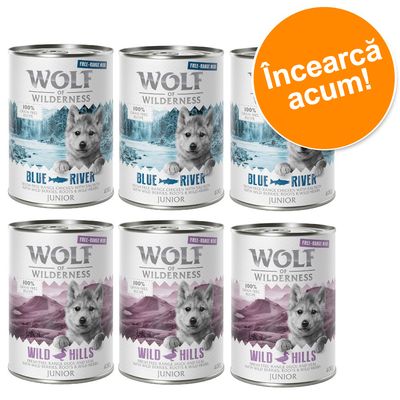 Wolf of Wilderness Junior conserve: 3x Blue River, 3x Wild Hills, 400g. Text portocaliu: Încearcă acum! Etichete vizibile: 100% grain-free recipe, free-range meat.