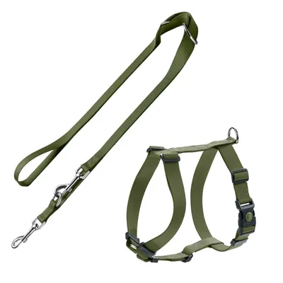 Harnais et laisse verts en nylon avec boucles réglables et mousquetons métalliques, sans marque visible.