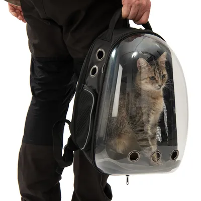 Sac à dos de transport pour chat avec coque transparente rigide, trois aérations rondes visibles et poignée portée à la main par une personne. Chat tigré visible à l’intérieur.