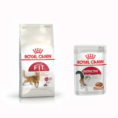 Małe opakowanie Royal Canin Special Care + 12 x 85 g karma mokra Royal Canin - Fit 32, 4 kg + Instinctive w sosie, 12 x 85 g