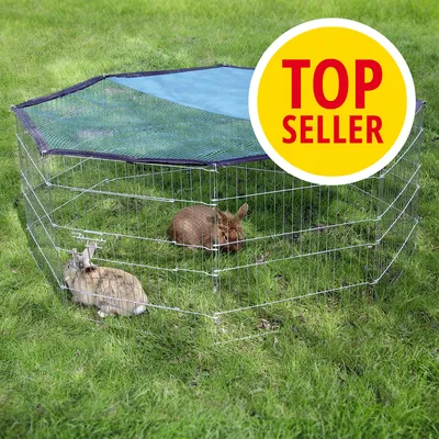 Freigehege aus Metall mit Netzabdeckung, zwei Kaninchen im Gehege. Gelbes Badge mit rotem Text 'Top Seller'. Freigehege aus Metall mit Netzabdeckung, zwei Kaninchen im Gehege. Gelbes Badge mit rotem Text 'Top Seller'.