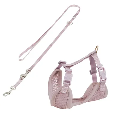 Trixie Junior Μαλακό Σαμαράκι για Κουτάβια με Λουρί - 26-34 cm/10 mm, 200 cm, λιλά