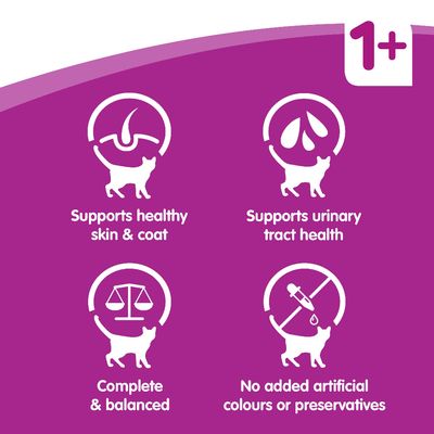 Teksti englanniksi: Supports healthy skin & coat, Supports urinary tract health, Complete & balanced, No added artificial colours or preservatives. Yläkulmassa merkintä 1+.