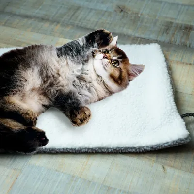 Kočka leží na bílé, měkké podložce s nadýchaným povrchem. Produkt ukazuje pohodlí a použití domácími mazlíčky.