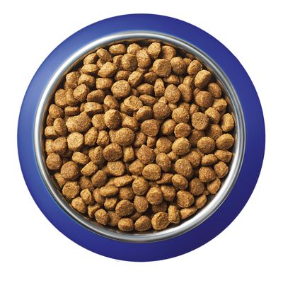 Croquettes marron dans une gamelle en métal avec rebord bleu, vue de dessus. Aucun texte ou marque visible.