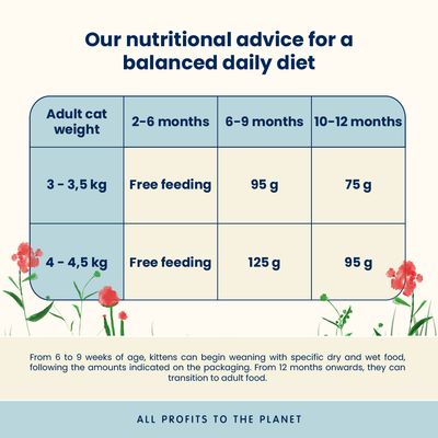 Almo Nature Functional Cat Kitten med kyckling & ris