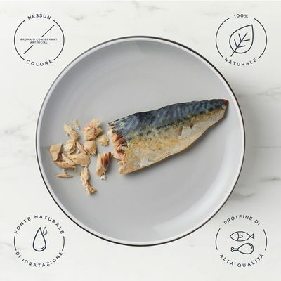 Encore Treat Filetto di sgombro, 100% ingredienti naturali, 30g. La confezione mostra un'immagine di gatto e il nome del prodotto.