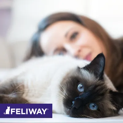 FELIWAY. Продукт за подпомагане на благосъстоянието на котки.