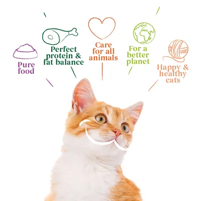 Image with text: Pure food, Perfect protein & fat balance, Care for all animals, For a better planet, Happy & healthy cats. Orange and white cat shown below the text.