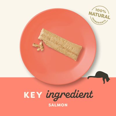 Texto en inglés: '100% natural ingredients', 'Key ingredient salmon'. Trozo de salmón sobre plato naranja. Silueta de gato negra visible.