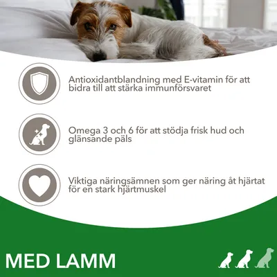 Antioxidantblandning med E-vitamin, omega 3 och 6 för hud och päls, viktiga näringsämnen för hjärtmuskeln. Med lamm.