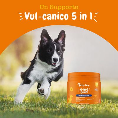 Zesty Paws 5-in-1 Chews Tacchino