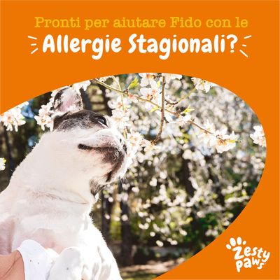 Zesty Paws Allergy & Immunity Chews Salmone