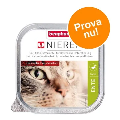beaphar Nieren dietfoder för katter, reducerat fosforinnehåll, sort ENTE. Text: Prova nu! Synlig kattbild på förpackningen. beaphar Nieren dietfoder för katter, reducerat fosforinnehåll, sort ENTE. Text: Prova nu! Synlig kattbild på förpackningen.