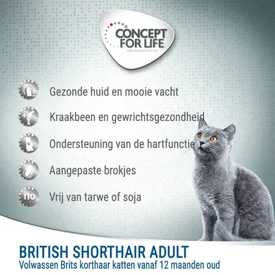 Concept for Life British Shorthair Adult. Gezonde huid en vacht, gewrichtsgezondheid, hartfunctie, aangepaste brokjes, vrij van tarwe of soja. Voor volwassen Brits korthaar katten vanaf 12 maanden.