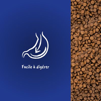 Texte visible : Facile à digérer, avec illustration d’un estomac et flèche. Croquettes marron visibles à droite de l’image.