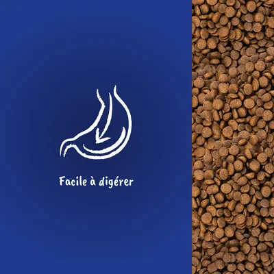 Texte visible : Facile à digérer, avec illustration d’un estomac et flèche. Croquettes marron visibles à droite de l’image.