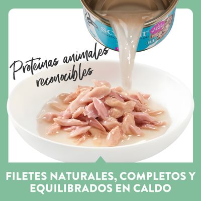 Schesir Complete Nutrition para gatos adultos. Atún en caldo, 6x50g Mini Meal, 100% filetes naturales, con vitaminas añadidas.