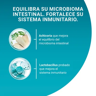 Equilibra su microbioma intestinal. Fortalece su sistema inmunitario. Achicoria que mejora el equilibrio del microbioma intestinal. Lactobacillus probado que mejora el sistema inmunitario.