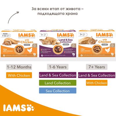 IAMS храна за котки: 1–12 месеца With Chicken, 1–6 години Land & Sea Collection, Land Collection, Sea Collection, 7+ години Land & Sea Collection, With Chicken. Видими опаковки и текст.