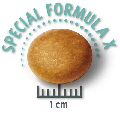 Krokett med diameter på 1 cm, text: Special Formula X.