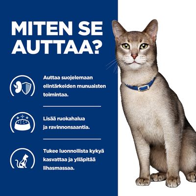 MITEN SE AUTTAA? Auttaa suojelemaan elintärkeiden munuaisten toimintaa. Lisää ruokahalua ja ravinnonsaantia. Tukee luonnollista kykyä kasvattaa ja ylläpitää lihasmassaa.