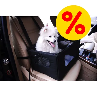 Cane bianco seduto in un trasportino nero per auto fissato al sedile anteriore, simbolo giallo con percentuale rossa in alto a destra che indica offerta o sconto. Cane bianco seduto in un trasportino nero per auto fissato al sedile anteriore, simbolo giallo con percentuale rossa in alto a destra che indica offerta o sconto.