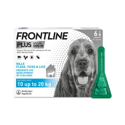 Frontline Plus Spot-On for dogs 10 to 20 kg, kills fleas, ticks and lice, prevents flea egg development, contains 6 pipettes of 1.34 ml each.