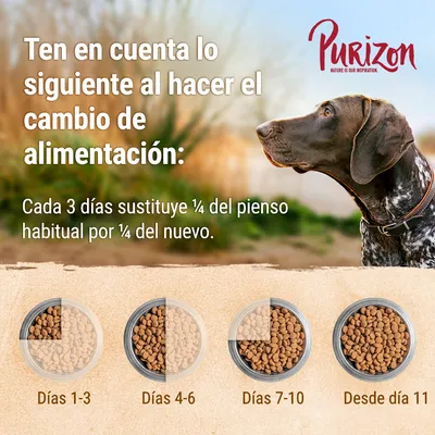 Purizon. Instrucciones para cambio de alimentación: cada 3 días sustituye ¼ del pienso habitual por ¼ del nuevo. Días 1-3, 4-6, 7-10 y desde día 11 con imágenes de cuencos.